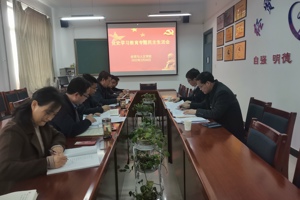 我院召开党史学习教育专题民主生活会