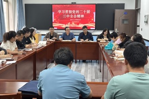 凝心聚力抓落实  奋力谱写新篇章——学院党总支组织学习党的二十届三中全会精神